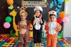 KG1B-ANIMALS-DAY-6