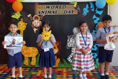 Kg2D-world-Animal-Day-3