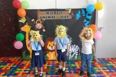 kg1-c-animal-day-5