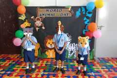 kg1-c-animal-day-6