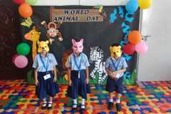 kg1-c-animal-day-7