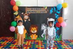 kg1-c-animal-day-8