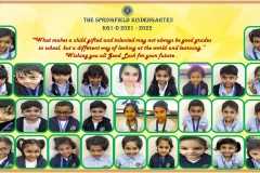 KG1D