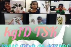 KG1D