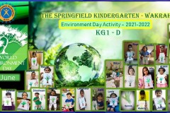 KG1-D-Env