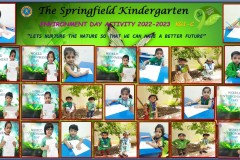 Environment Day Activity