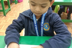 Germination-Activity-KG1-A-1