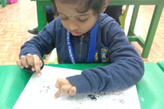 Germination-Activity-KG1-A-2