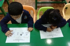 Germination-Activity-KG1A-4