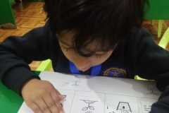 Germination-KG1B-2
