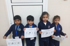 KG1-E-Germination-Activity-4