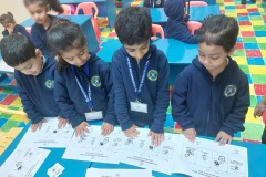 KG1-E-Germination-Activity-6