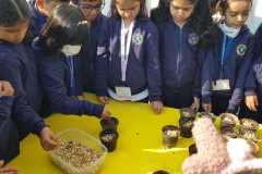 KG2-GERMINATION-2023-13