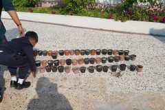 KG2-GERMINATION-2023-15