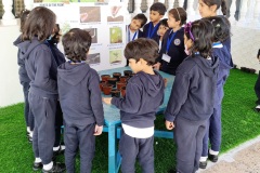 KG2-GERMINATION-2023-3