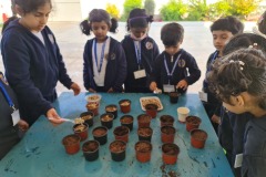 KG2-GERMINATION-2023-4