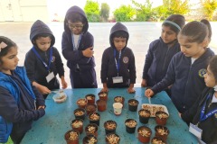 KG2-GERMINATION-2023-8