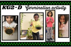 Germination Day 2021-2022