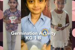 Germination-Activity-KG-1-B-part-3