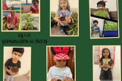 Germination-Activity-kg1-d-1