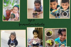 Germination-Activity-kg1-d-2