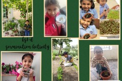 Germination-Activity-kg1-d-3