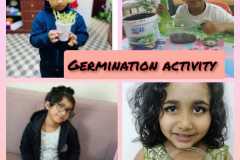Germination-activity-KG-1E-2