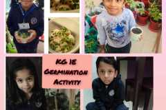 Germination-activity-KG-1E-3