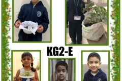 KG2E-4-2