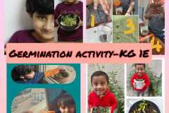 germination-activity-KG-1E-1