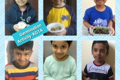 germination-activity-Kg1A-1
