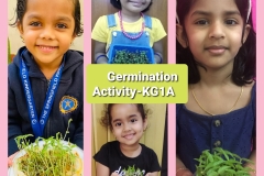 germination-activity-Kg1A-2