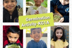 germination-activity-Kg1A-3