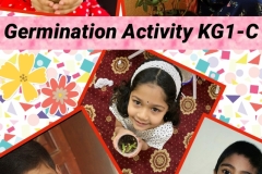 germination-activity-Kg1C-1