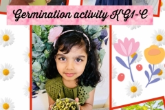 germination-activity-Kg1C-3