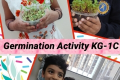 germination-activity-Kg1C-4