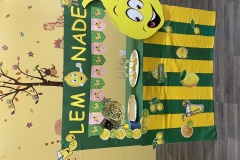 Lemonade Activity 2022-2023
