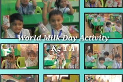 KG1A-MILKDAY