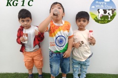 kg1-c-milk-day-4