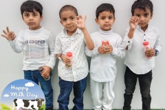 kg1-c-milk-day-8