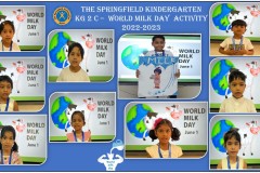 Milk Day Activity