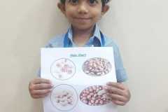 KG1A-nutrition-week-10