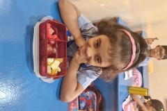 KG2A-nutirtion-week-day-1-6