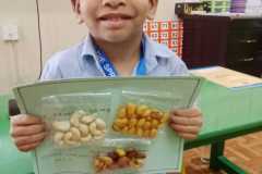 Kg1b-nutrition-week-1