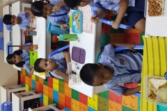 Kg2-D-Nutrition-week-day-2-4