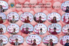 QND-KG-2C