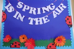 Spring Festival (2017-2018)