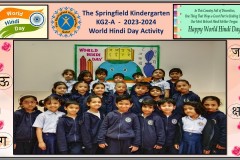 KG2A-World-Hindi-Day-Activity